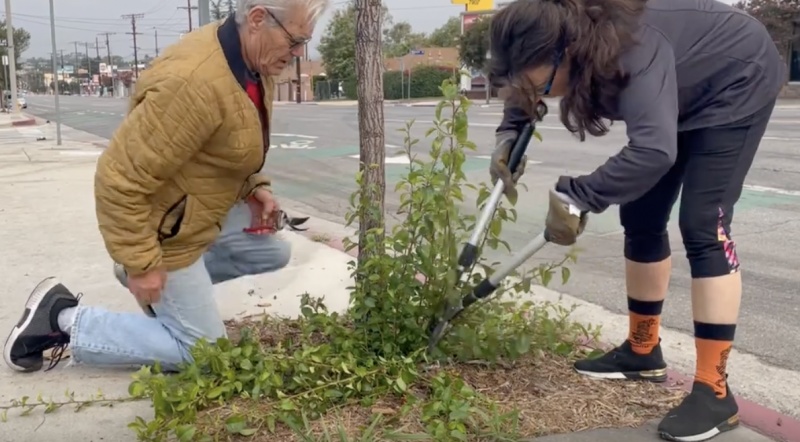 Sunland-Tujunga Community Council